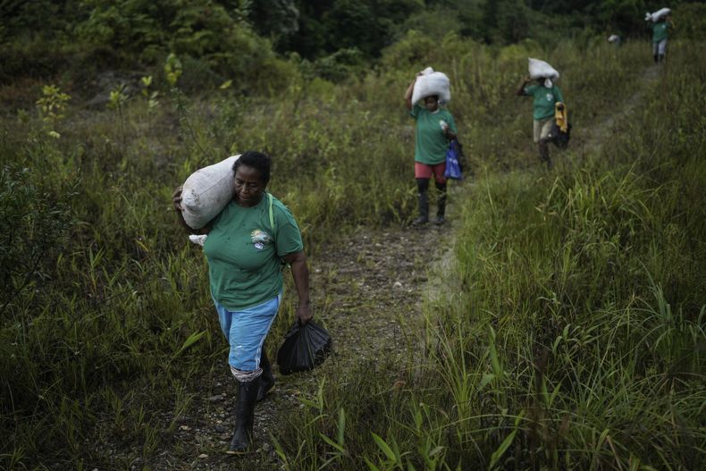 En esta imagen de archivo, un grupo de mujeres de la Asociación Nuestra Casa Común, cargan con sacos de fertilizante para reforestar una zona destrozada por la minería ilegal, cerca de Paimado, Colombia, el 24 de septiembre de 2024. (AP Foto/Iván Valencia, archivo)