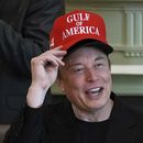Elon Musk habla en una reunión del Gabinete en la Casa Blanca, el miércoles 30 de abril de 2025, en Washington. (AP Foto/Evan Vucci)