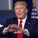 Trump decide suspender 60 días emisión de green cards
