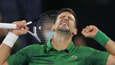 Djokovic reaparece con victoria en Dubái