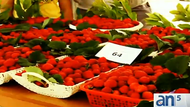 americateve | La alimentación juega un papel fundamental en nuestro organismo pero parece que también en nuestro estado de humor. ¿Sabías que hay alimentos que te ayudan a estar más contentos?