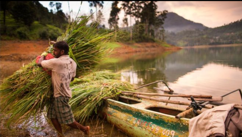 Screenshot (186).png