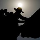 ARCHIVO – Un trabajador revisa el cableado eléctrico bajo el sol de la mañana, el 12 de julio de 2024, en Phoenix. (AP Foto/Matt York, Archivo)