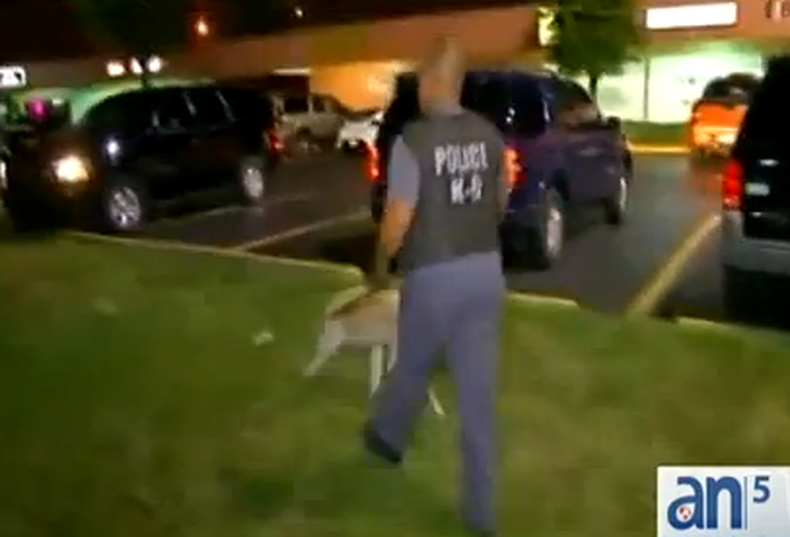 La policía cerró un bar donde al parecer se vendían drogas y se hacían juegos de apuestas.