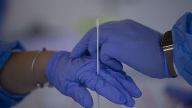 salud le sigue la pista al nuevo linaje de la variante omicron del coronavirus