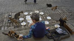 Nélida Pérez alimenta gatos callejeros en La Habana, el jueves 24 de julio de 2025. (AP Foto/Ramón Espinosa)