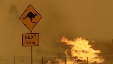 El fuego amenaza capital de Australia y pueblos del sureste