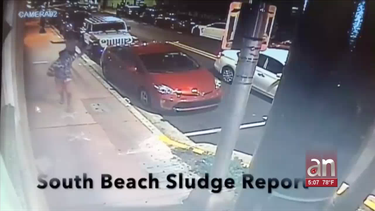 autoridades buscan a un hombre que asesino a tiros a una mujer en miami beach