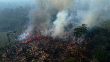 ARCHIVO – Un bosque arde en Amazonía, en el municipio de Manaquiri en el estado brasileño de Amazonas, el miércoles 6 de septiembre de 2023. (AP Foto/Edmar Barros, Archivo)