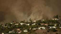 El incendio en Mandeville Canyon en Los Ángeles el 11 de enero del 2025. (AP foto/Jae C. Hong)