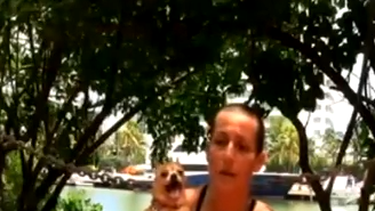 americateve | Arrestan  por crueldad animal a  la directora de un refugio de mascotas en Hialeah.