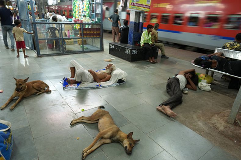 Residentes y perros callejeros descansan en el andén de una estación de tren para escapar del calor, el sábado 20 de junio de 2026, en Banda, estado de Uttar Pradesh, en el norte de India. (AP Foto/Rajesh Kumar Singh)