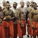 Unos 76.000 reos podrán salir de la cárcel antes de lo previsto en California (incluyendo presos por delitos violentos y reincidentes)