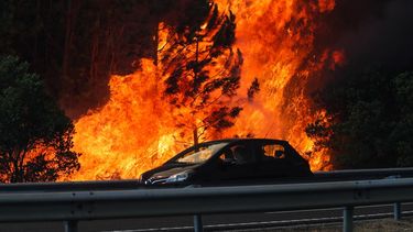 el fuego arrasa miles de hectareas de portugal y obliga a evacuar a 1.500 personas