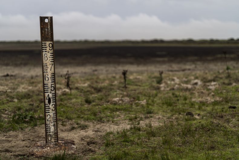 Un medidor de agua en un humedal seco en el parque natural de Doñana, en el suroeste de España, el 19 de octubre de 2022. (Foto AP/Bernat Armangue, Archivo)