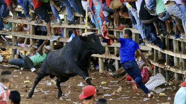 seis muertos deja hasta el momento el desplome de las graderias de la plaza de toros del espinal