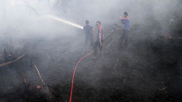 El Niño trae otro problema: más dióxido de carbono en aire