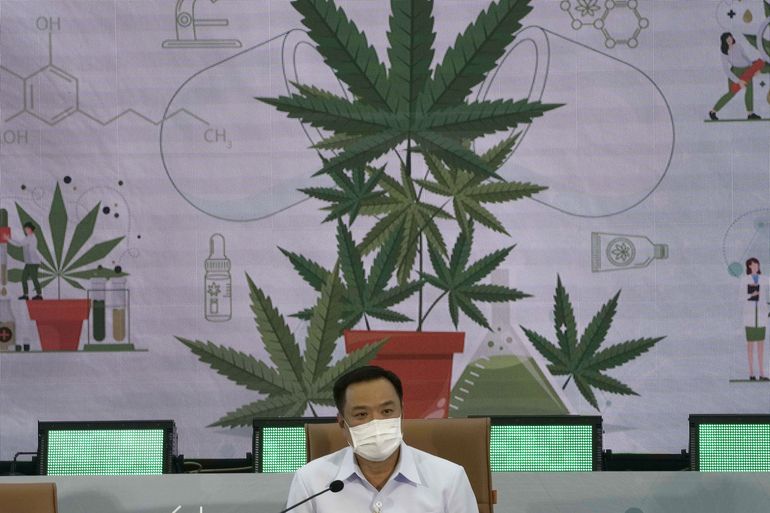 Tailandia distribuirá plantas gratis de marihuana