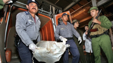 militares cubanos lanzan redada por todo el pais e incautan mas de 3 mil kg de marihuana