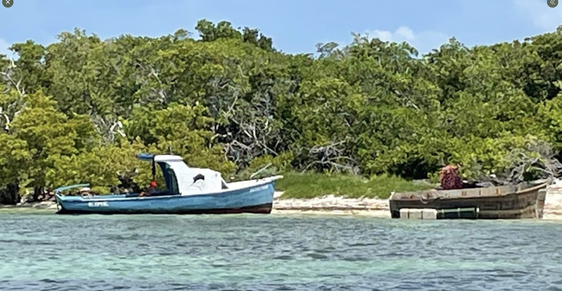 Screen Shot 2022-08-29 at 12.01.11 PM.png