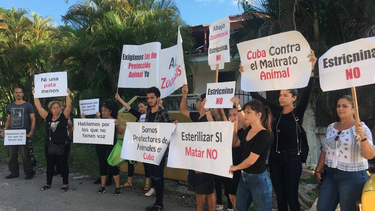 cierre de zoonosis, activistas cubanos protestan frente al centro de observacion animal