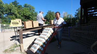 Sondeo AP: Los necesitados de alimentos en EEUU, sin ayuda