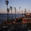 Casas a lo largo de la costa del Pacífico quemadas hasta los cimientos después del incendio Palisades el lunes 13 de enero de 2025 en Malibú, California. (Foto AP/John Locher)