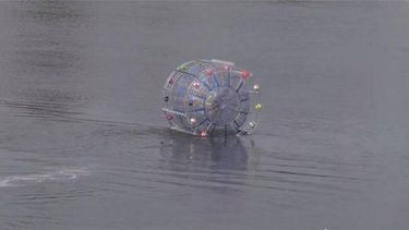 americateve | Un corredor de maratón que enfrentaba el extraño desafío de cruzar desde Florida hasta las islas Bermudas corriendo dentro de una enorme burbuja flotadora.