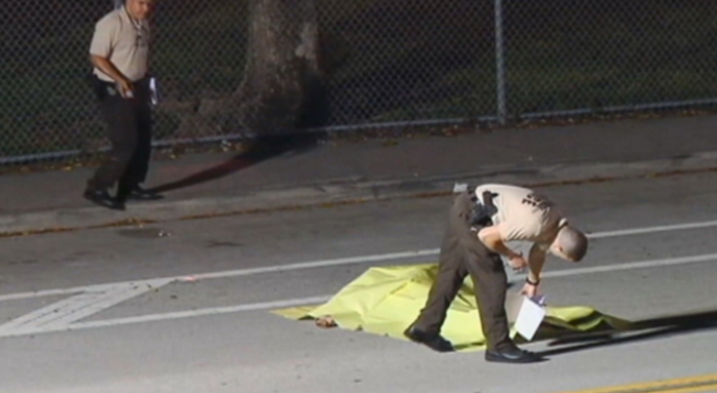 tiroteo sw miami.png