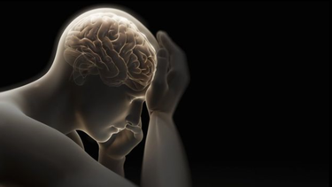 4 cientificos explican como la pobreza puede afectar nuestro cerebro