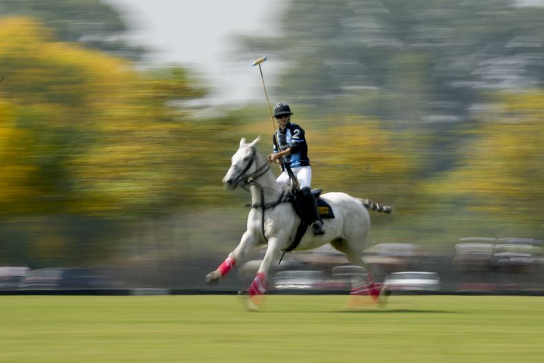 DEP-GEN ARGENTINA-MUJERES POLO