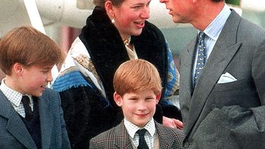 celos y rivalidad: asi fue la enfermiza relacion entre lady di y la ninera de william y harry