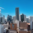Casi 80 mil personas han abandonado Miami: la ciudad del sol disminuye su población por primera vez en más de 50 años
