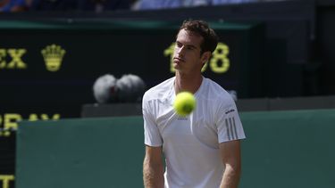 americateve | El tenista brit&aacute;nico Andy Murray ve pasar un servicio de su oponente Grigor Dimitrov en su partido de cuartos de final del torneo de Wimbledon jugado el mi&eacute;rcoles 2 de julio de 2014. (Foot de AP/Pavel Golovkin)