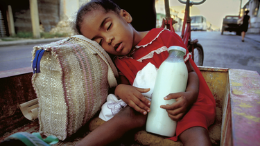 el gobierno de cuba publica los nuevos precios para la compra de la carne de res y la leche a los campesinos