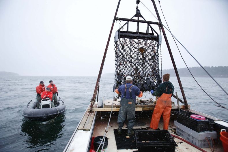 ARCHIVO — Agentes de la Patrulla Marina (izquierda) llegan al bote pesquero de Donald Ricker para una inspección de rutina cerca de Harpswell, Maine, el 17 de diciembre de 2011. (AP Foto/Robert F. Bukaty, Archivo)