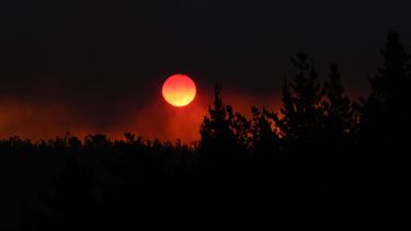El sol se pone en medio de los incendios forestales el 3 de febrero de 2024, en Viña del Mar, Chile. (AP Foto/Esteban Félix)