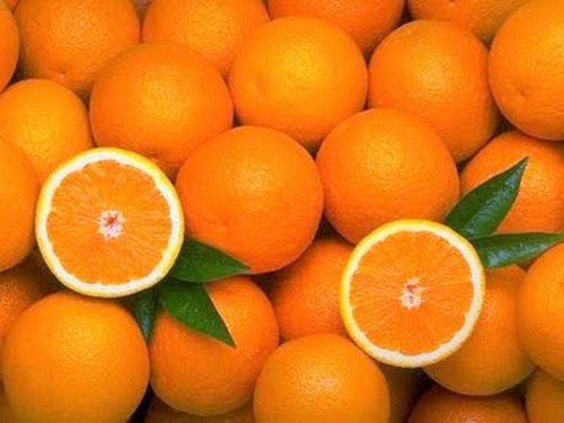 La naranja adorna las chapas de los autos en el estado. El famoso estadio de football de la Universidad de Florida recibió su nombre en honor a un magnate de las naranjas. Hay incluso un condado que lleva el nombre de Citrus.