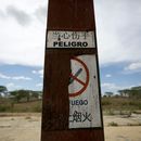 Descarrila en Venezuela proyecto de tren bala chino