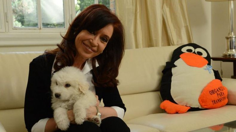 La presidenta Cristina Fernández de Kirchner grabó esta tarde un video, dirigido por su hija Florencia, en el que agradeció los regalos, las oraciones y los mensajes de apoyo recibidos durante su recuperación. Antes, se reunió con Oscar Parrilli, Abal Med