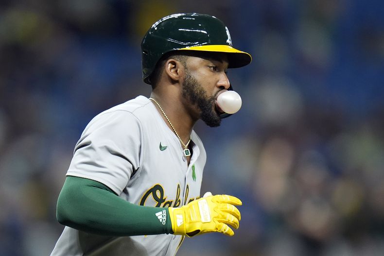 El dominicano Miguel Andújar, de los Atléticos de Oakland, hace una bomba con la goma de mascar, tras conectar un jonrón de tres carreras en el juego del martes 28 de mayo de 2024, ante los Rays de TAmpa Bay (AP Foto/Chris OMeara)