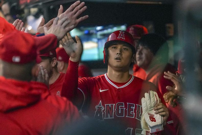 El japonés Shohei Ohtani recibe las felicitaciones en la cueva, luego de anotar en el juego del sábado 26 de agosto de 2023, ante los Mets de Nueva York (AP Foto/Bebeto Matthews)