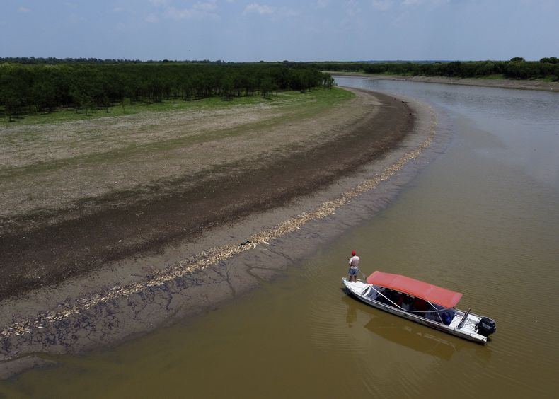 Un pescador de pie en su bote mientras navega cerca de miles de peces muertos en la orilla del lago Piraña debido a una sequía extrema en el estado de Amazonas, el miércoles 27 de septiembre de 2023, en Manacapuru, Brasil. (AP Foto/Edmar Barros)