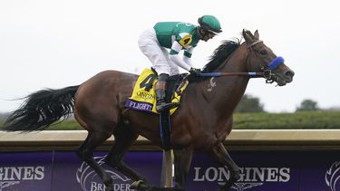Flightline sigue invicto y gana Clásico de Copa de Criadores