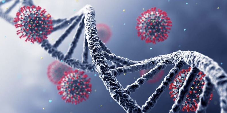 Screen Shot 2022-01-04 at 2.58.53 PM.png