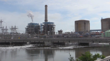 ambientalistas y la fpl enfrentados por supuesta contaminacion en turkey point
