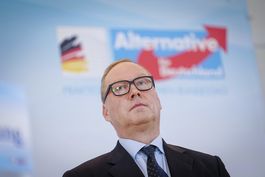 ultraderecha alemana nombra a candidato presidencial