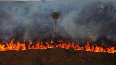 Incendios forestales se propagan cerca del municipio de Iranduba el viernes 2 de octubre de 2026, en el estado de Amazonas, Brasil. (AP Foto/Edmar Barros)