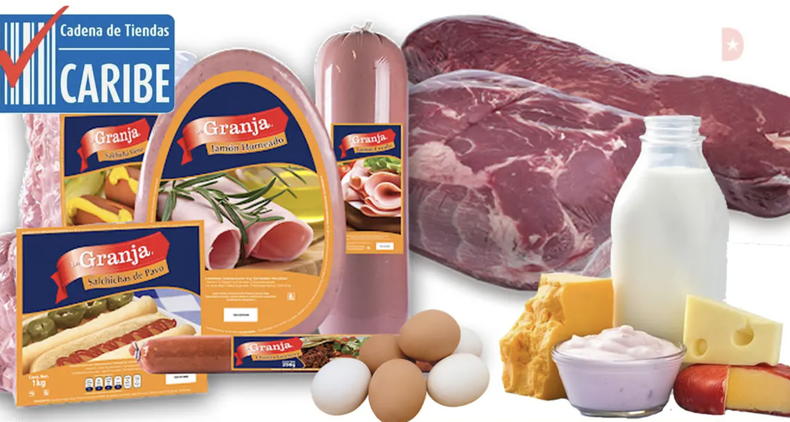 Screen Shot 2022-08-03 at 11.31.50 AM.png