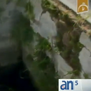 Precarias condiciones de cementerio en Cienfuegos